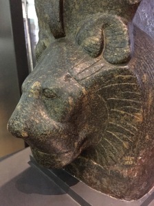 Detail of Sekhmet statue head. Manchester Museum. Own photo